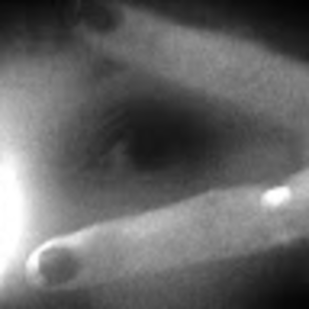 Meet your Posher, Debbie